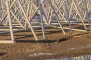 Parc des Expositions-Toulouse-12